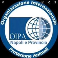oipasezionenapoli