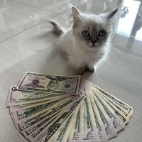 dealswithcoolguy