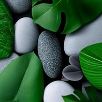 son original - Med Moussa70