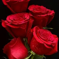 original sound - pankharita2