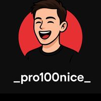 _pro100nice_