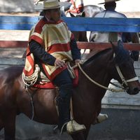 juan181418199
