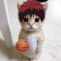 knb.kuroko