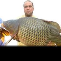 ouallam.hamid.fishing