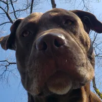 original sound - eunice.lizeth21