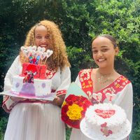 bahirdar.surprisedeliver