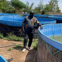 original sound - conseptaquarium4