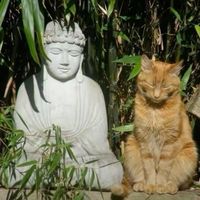 unicorn_glittershitter