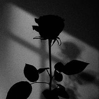ilove.you_444