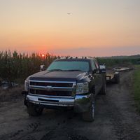 that.impblue6.6