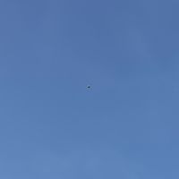 user263800754312689008