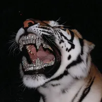 just another interlude follow my ig greggyjoon