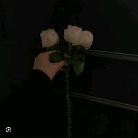 เสียงต้นฉบับ - โสภาาาาา⚜️