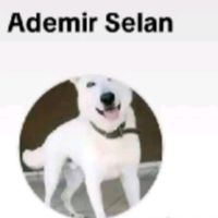 ademir.selan