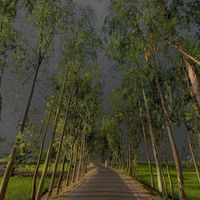 alejandro_lezama4