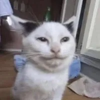 original sound - boosiebounce