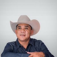 artistallanero