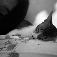 mariaa_isy