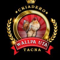 wallpautatacna