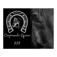 compraventaequina777