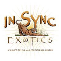 insync_exotics