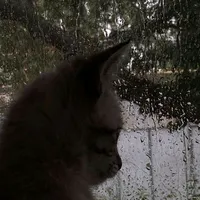 original sound - ervin2004.30