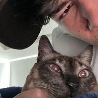 pedroka.j