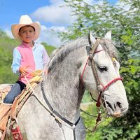 el_peque_arrendadorjp