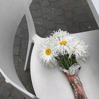 lachicadeloslibros19