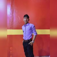 nicky_delfin