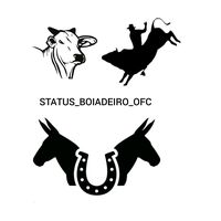 status_boiadeiro_