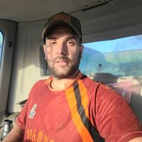 renatodelfinonovella