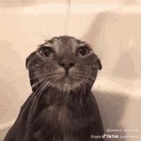 i_never_promised_you