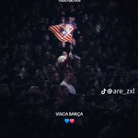 elvelic55