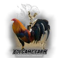boygamefarm_ina