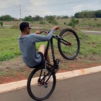 trindade.grau017