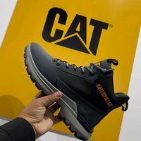 calzadocat100original