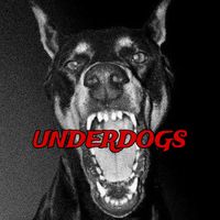 underdogs.bjj