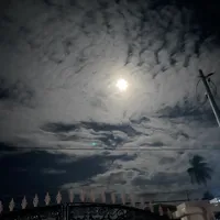 original sound - mocha_baby__