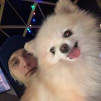 оригинальный звук