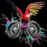 original sound - cotorramusicoficial