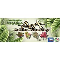 suara asli - Arsha Nursery