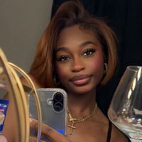 imanisdraft