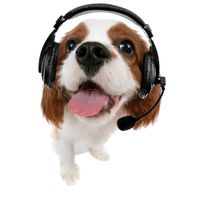 musicaconperrito
