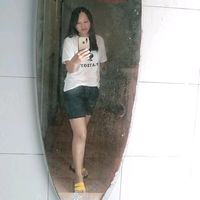 zom..2528