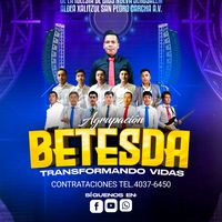 agrupacionbetesda