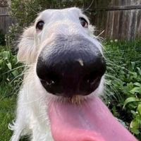 usuario_nao.encontrad6