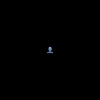 brii_h28