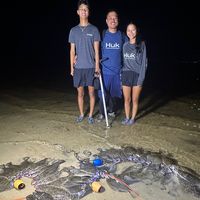 gulfcoastflouderinglight