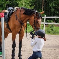 a.n.n.i.equestrian